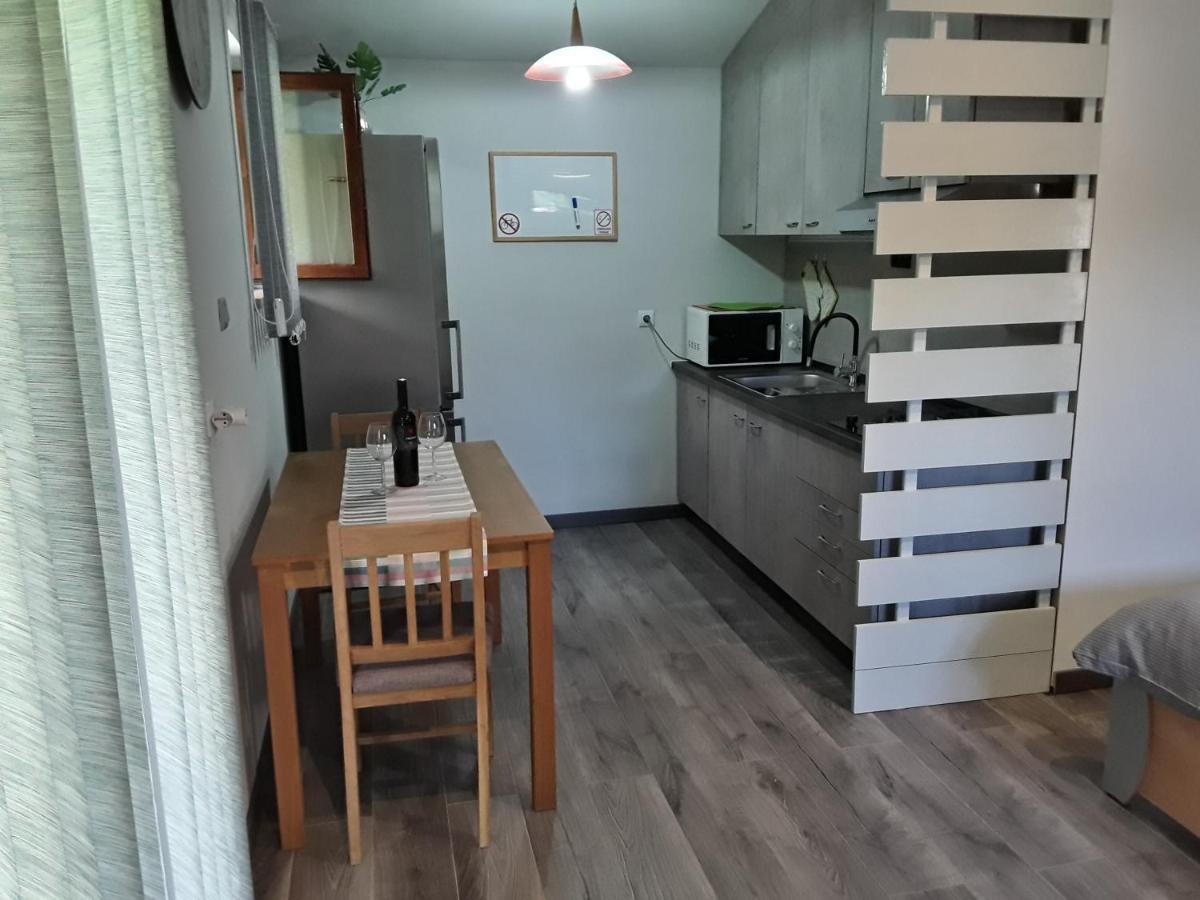 Apartman Studio Erin Rovinj Kültér fotó